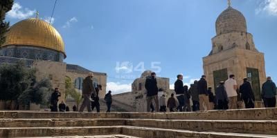 عشرات المستعمرين يقتحمون الأقصى