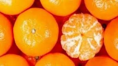 أخبار اليمن : ما فوائد فيتامين «سي» لصحتك وجسمك؟