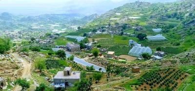 أخبار اليمن : الصقيع يتراجع.. والشوافي: هذا ما ينتظركم