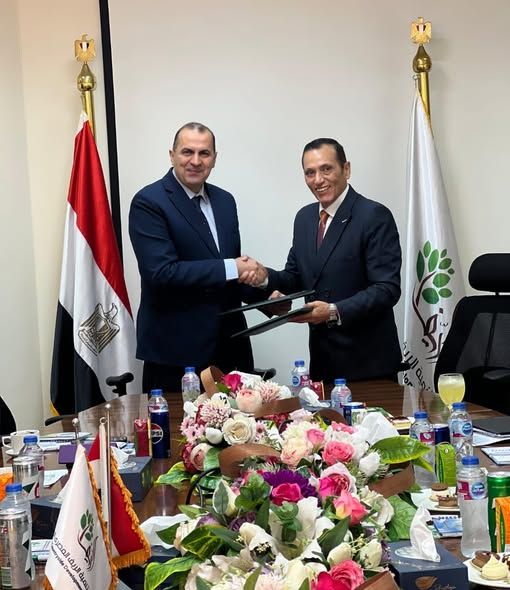 شركة تنمية الريف المصري الجديد تطلق مشروعاً ضخماً لتوصيل الكهرباء إلى أراضيها