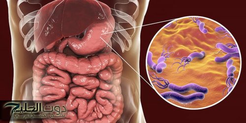 علاجات منزلية لجرثومة المعدة .. كيف تساعدك طريقة تناولك للطعام