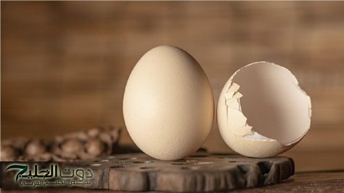 اوعي تاكله.. علامة بقشرة البيض تشير لاحتمالية إصابتك بالتسمم الغذائي