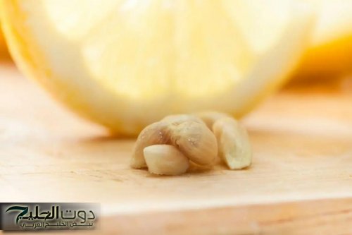 بذراية واحدة تصنع المعجزات.. صدمة عجيبة تحدث لجسمك عند بلع بذور الليمون دون أن تدرك ذلك