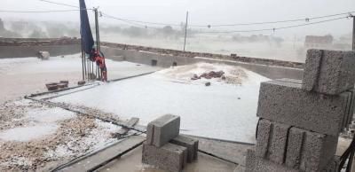 أخبار اليمن : نصائح هامة للمزارعين في 8 مناطق باردة