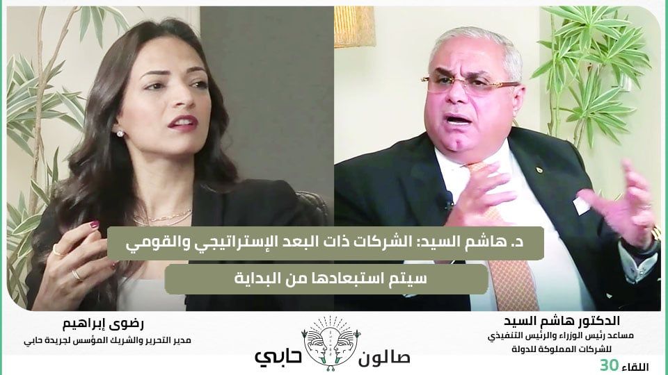 د. هاشم السيد: الشركات ذات البعد الإستراتيجي والقومي سيتم استبعادها من البداية