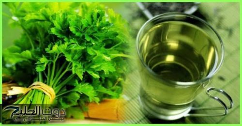 سر عبقري من جدات زمان.. وصفة البقدونس السحرية لتقوية العظام ومحاربة ألم الركبة المزمن