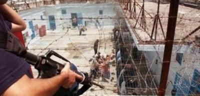 أخبار اليمن : 323 أسيراً استشهدوا في سجون الاحتلال