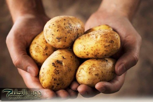 أرميها فورًا.. تحذير من تناول البطاطس لو ظهرت عليها هذه العلامة | أوعي تأكليها لعيالك