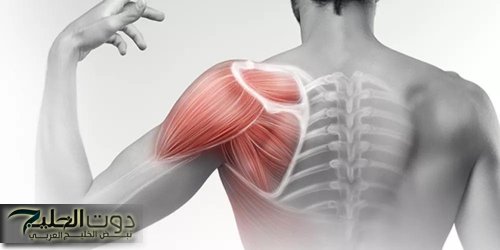 بعد أن عانى منه ولي عهد الأردن.. ما هو مرض كتف الأبوة وما هي أسبابه وأعراضه؟!