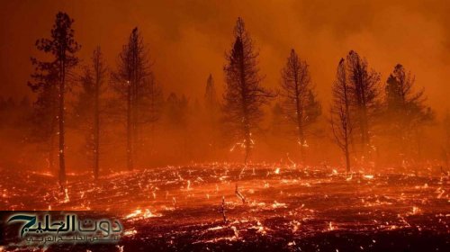 أستراليا تعلن حالة كارثة حرائق