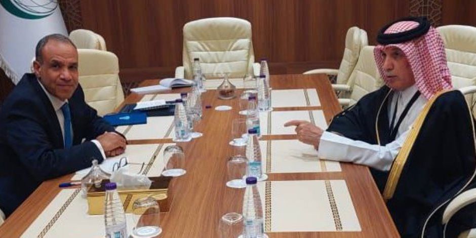 وزير الخارجية يبحث مع نظيره القطري تطورات القضايا الإقليمية