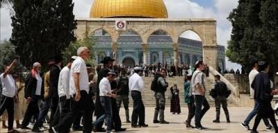 عشرات المستوطنين يقتحمون الأقصى