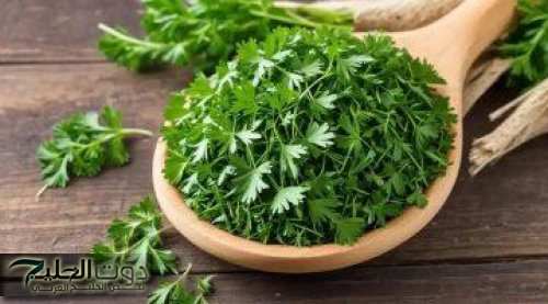 سعرها على "قد الإيد".. عشبة تقضي على الإمساك وتقلل خطر الإصابة بالسرطان