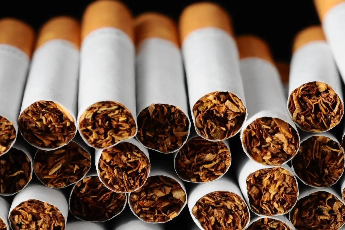 لو بتدخن كليوباترا أو ميريت.. هل توجد زيادة...