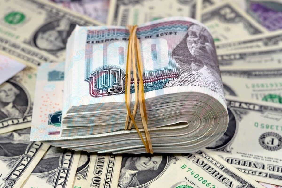 هل يكسر حاجز الـ 48 جنيهًا؟ تحديث مفاجئ...