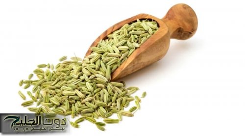 عشبة سحرية هتغنيك عن الطبيب.. تقوي المناعة وتنعش الذاكرة بشكل مذهل