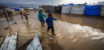 أخبار اليمن : المنخفض يعمّق معاناة النازحين في غزة