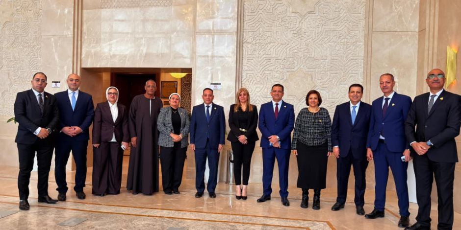 نواب الحزب المصري الديمقراطي الاجتماعي ممثلين في 9 لجان  وعبد الناصر ومنصور وكلاء بلجان الاتصالات والقوى العاملة