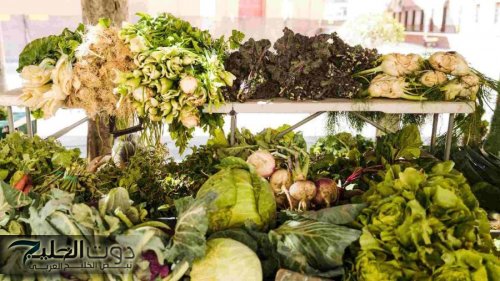 1619 طنا من الخضار وردت للسوق المركزي اليوم
