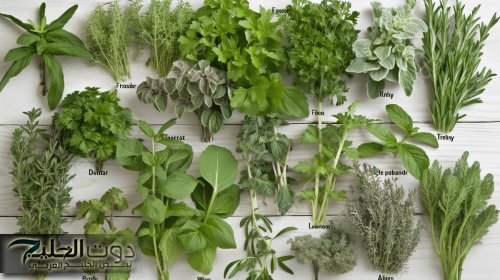 "ارمي الانسولين في الزبالة خلاص!!".... اعشاب طبيعية موجودة في كل بيت تخفض مستوى السكر في الدم