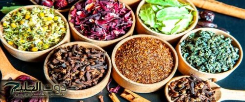 «اعشاب طبيعية مش هتستغنى عنها».. أقوى الخلطات الطبيعية من البيت مضمونة 100%.. هتقوي جهازك العصبى