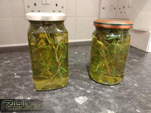 «اعشاب لن تقدر الاستغناء عنها بتاتاً»...كنز من كنوز الطبيعة لهو فوائد طبيعية في ذلك النبات استفد منه بهذا