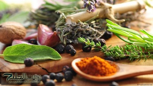 ملكة الاعشاب الطبيعية..!! عشبة سحرية لتنظيف القولون والبراز المتحجر وعلاجه بدون طبيب.. مش هتصدق نتيجتها..!!