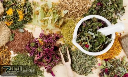 كنز رباني لا يعرف قيمته .. حتي لو عمرك عدي الـ 80 إليكم عشبة في المطبخ هتعملك أحلي وصفة سحرية هتحقق حلمك