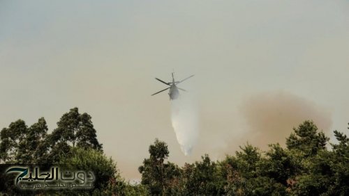 19 قتيلا جراء الحرائق في تشيلي وحظر التجول في المناطق المتضررة