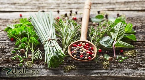 «مش هتاخد مسكنات تاني بعد الاعشاب دي» .. أهم نوعين من الأعشاب لعلاج اي آلام في الجسم!!