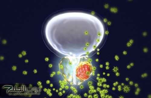 تلوث الهواء يزيد خطر الإصابة بسرطان البروستات بنسبة 6.9%