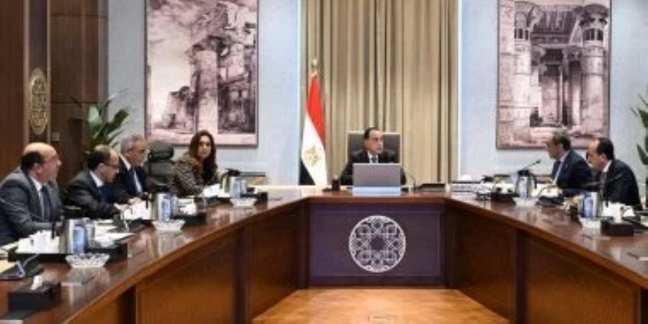 الحكومة: مراكز إيواء للحيوانات الضالة بالمحافظات بعيدا عن الكتلة السكنية