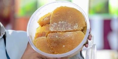 أخبار اليمن : اليمن الموطن الأول للنحل والعسل.. يحتم شحذ الطاقات لحمايته