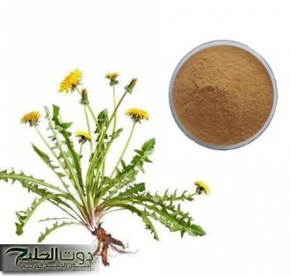 بطريقة لا تخطر علي بال احد.. عشبة تنقي الكلي والجسم من السموم والاملاح.. من أهم النباتات والاعشاب الطبية