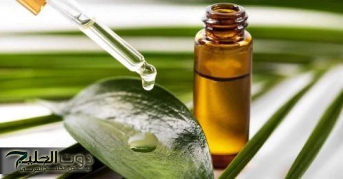 «انسي الاحراج والادوية»!!.. عشبة سحرية موجودة في كل مطبخ تعالج البواسير وتخلصك من الإمساك المزمن في 5