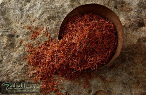 الزعفران يعزز الذاكرة ويخفف القلق ويحسن التمثيل الغذائي