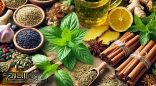 بشرتك فيها خطوط؟ شوفي علاج تجاعيد الوجه بالأعشاب بطرق طبيعية ومجربة