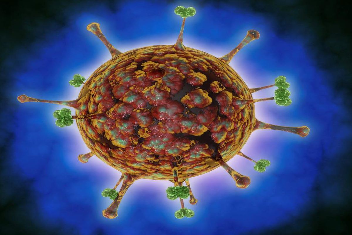 كل ما تريد معرفته عن فيروس نيباه المنتشر...