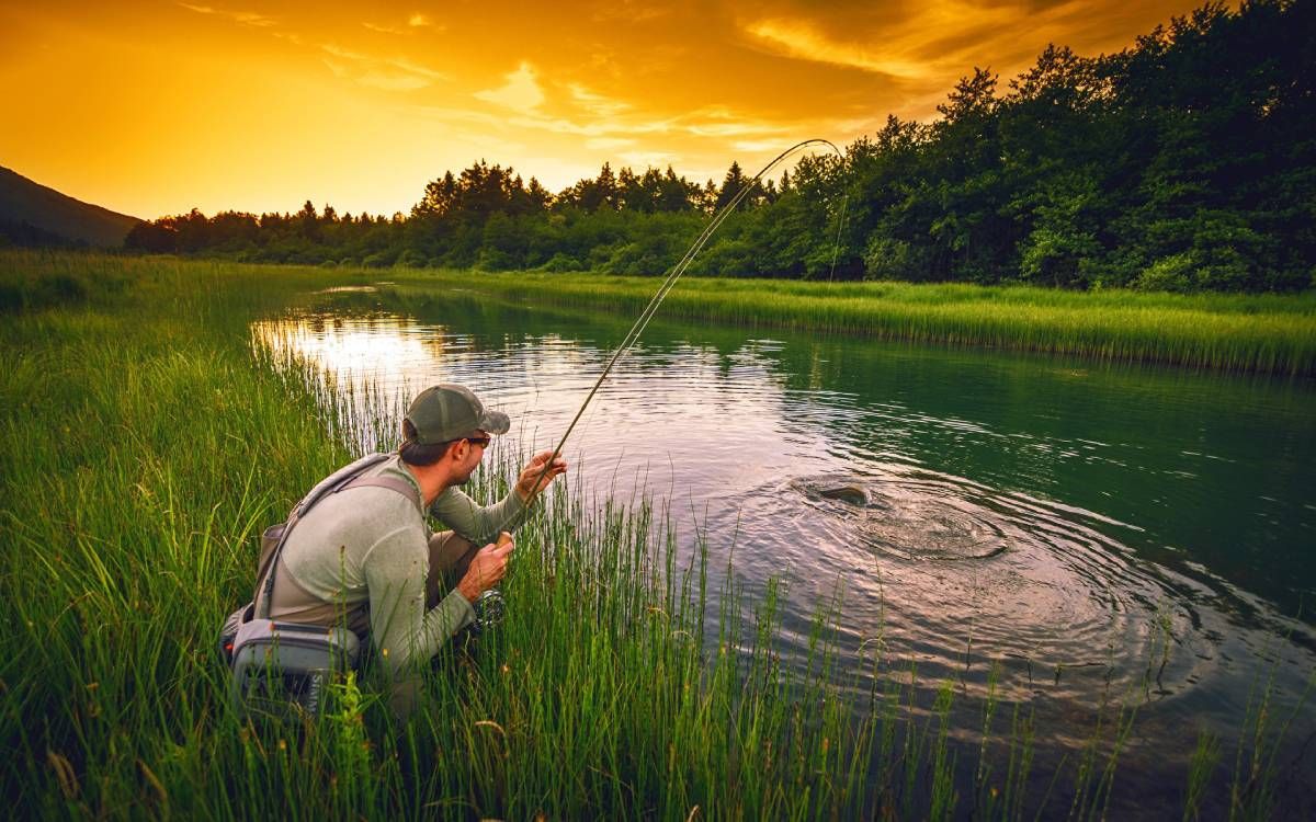 تفسير حلم صيد السمك لـ ابن سيرين.. وعلاقته...
