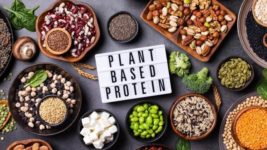 دراسة: البروتينات النباتية تقلل فرص الإصابة بأمراض الكلى المزمنة