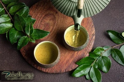 ماذا يحدث للجهاز الهضمي عند شرب الشاي الأخضر بانتظام