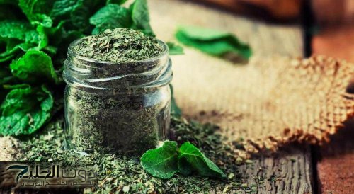 «لو عندك نعناع ناشف في بيتك اعتبره ثروة قومية».. فوائد واستخدمات للنعناع الناشف مش بيتحط علي الشاي بس.. أوعي