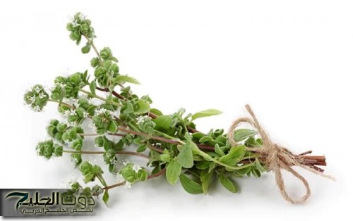 دون الحاجة الى الرجيم والرياضة المرهقة.. عشبة جبلية سحرية نزلت من السماء موجودة في كل مطبخ تسد الشهية وتنقص