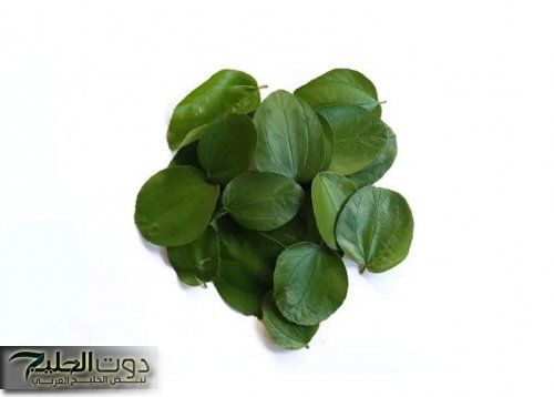 «شعرك هيعدي ركبتك!!»… عشبة ربانية موجودة في كل بيت تطول وتكثف الشعر من الاستخدام الاول!!