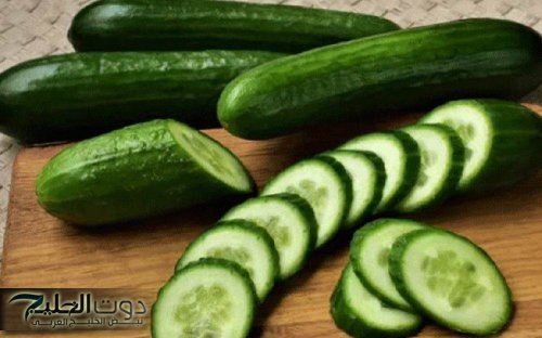 لمرضى القولون.. هذا ما يحدث عند تناول الخيار يوميا "أضرار قد لا تتوقعها"