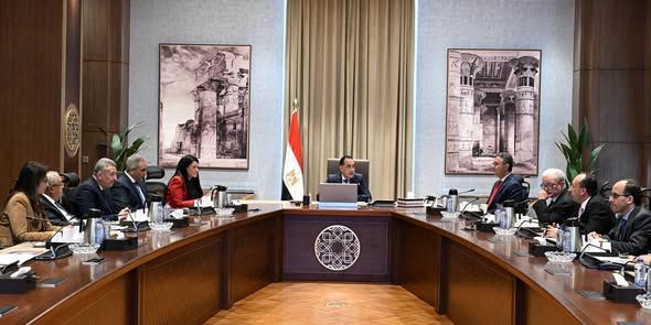 رئيس الوزراء: تطوير الأداء المالي للهيئات الاقتصادية أولوية حكومية
