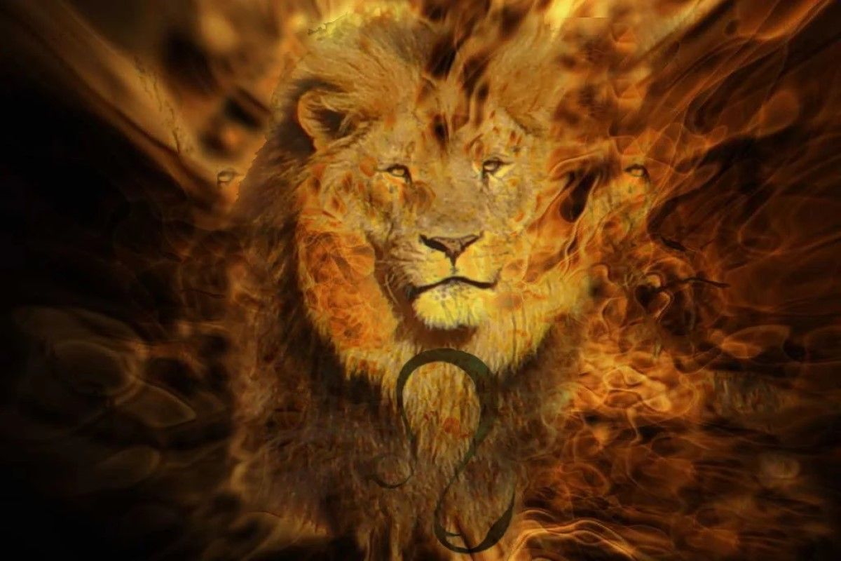 سر الطاقة المتفجرة لمولود الأسد اليوم.. هكذا تكتسح...