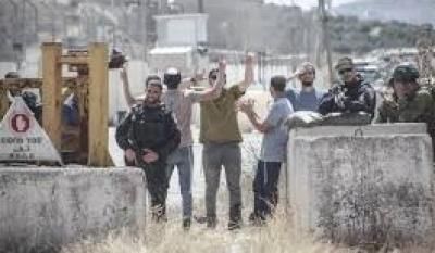 أخبار اليمن : منظمة تحذر من تصاعد الاعتداءات الصهيونية على الفلسطينيين