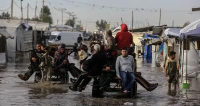 أخبار اليمن : الصليب الأحمر: الاحتياجات في غزة ما تزال هائلة