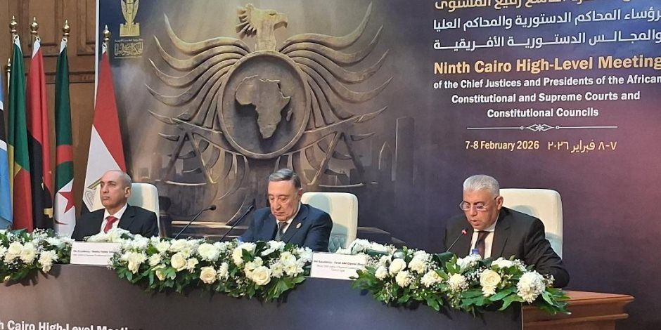 رئيس المحكمة الدستورية: مصر حريصة على نقل خبراتها الدستورية للأشقاء الأفارقة